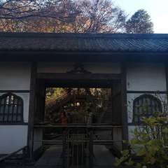 投稿日:2019年12月14日 写真