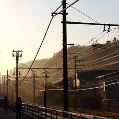 投稿日:2014年12月2日 写真