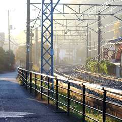 投稿日:2014年12月2日 写真