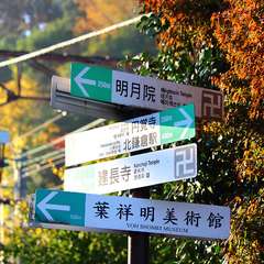 投稿日:2014年12月2日 写真