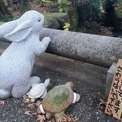 投稿日:2019年12月14日 写真