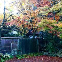 投稿日:2014年12月2日 写真