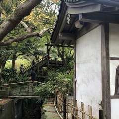 投稿日:2020年11月29日 写真