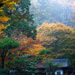 投稿日:2014年12月2日 写真