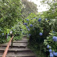 投稿日:2019年6月24日 写真