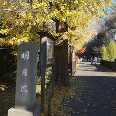 投稿日:2019年12月15日 写真