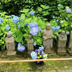 投稿日:2020年6月12日 写真