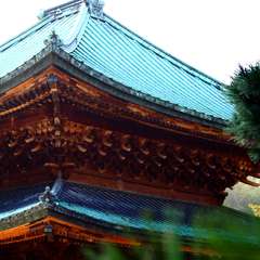 投稿日:2014年12月8日 写真