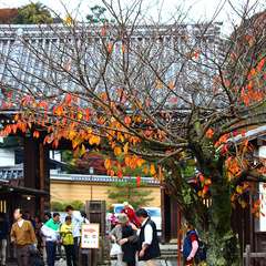 投稿日:2014年12月8日 写真