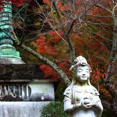 投稿日:2014年12月8日 写真