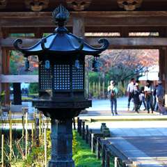 投稿日:2014年12月8日 写真