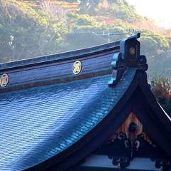 投稿日:2014年12月7日 写真