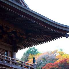 投稿日:2014年12月8日 写真