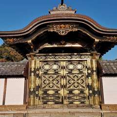 投稿日:2020年12月4日 写真