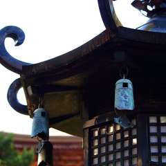 投稿日:2014年12月8日 写真