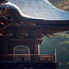 投稿日:2014年12月7日 写真