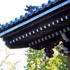 投稿日:2014年12月7日 写真