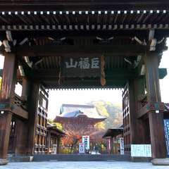 投稿日:2014年12月7日 写真