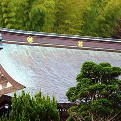 投稿日:2014年12月8日 写真