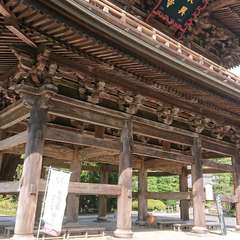 投稿日:2022年8月1日 写真