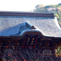 投稿日:2014年12月8日 写真