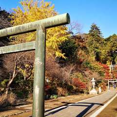 投稿日:2020年12月4日 写真