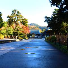 投稿日:2014年12月8日 写真