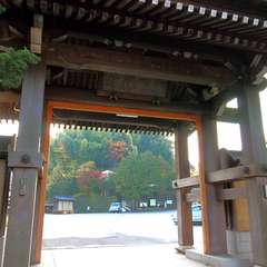 投稿日:2014年12月7日 写真