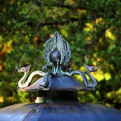 投稿日:2014年12月8日 写真