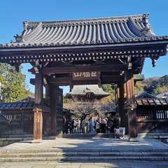 投稿日:2019年12月14日 写真