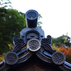 投稿日:2014年12月7日 写真