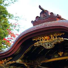 投稿日:2014年12月8日 写真