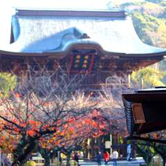 投稿日:2014年12月7日 写真