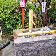 投稿日:2020年12月5日 写真