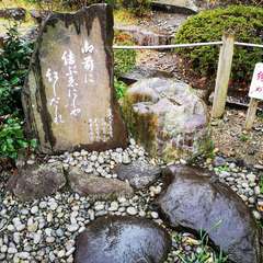 投稿日:2020年12月5日 写真