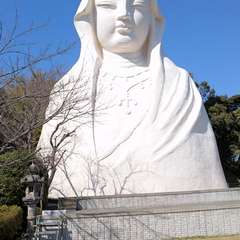 投稿日:2016年3月3日 写真