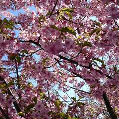 投稿日:2016年3月3日 写真