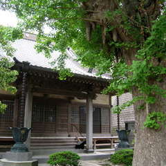 城島山 常光寺(投稿日:2024年5月9日) 写真