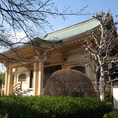 定方寺(投稿日:2024年3月31日) 写真