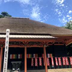 投稿日:2019年7月28日 写真