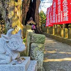 投稿日:2020年1月5日 写真