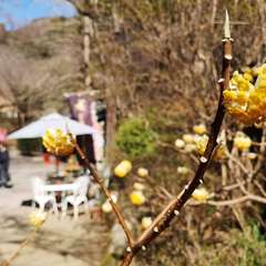 投稿日:2021年2月28日 写真