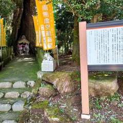 投稿日:2022年9月4日 写真