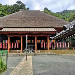 投稿日:2019年9月23日 写真