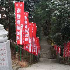 投稿日:2021年1月19日 写真