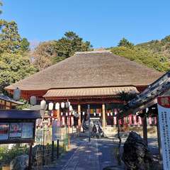 投稿日:2020年1月5日 写真