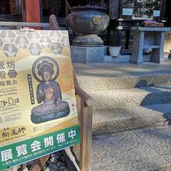 投稿日:2021年11月28日 写真