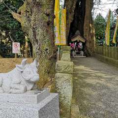 投稿日:2021年1月19日 写真