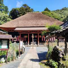 投稿日:2022年9月4日 写真