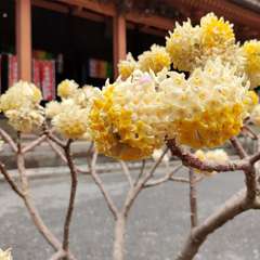 投稿日:2022年3月21日 写真